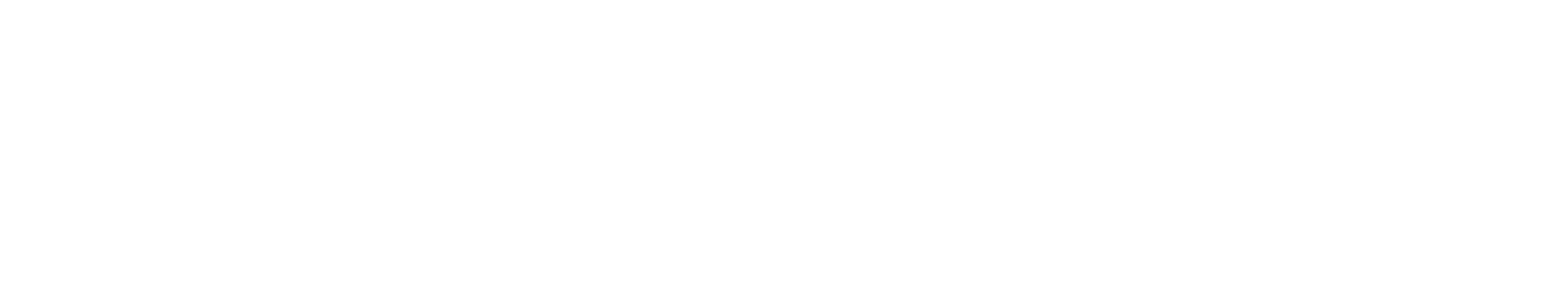 FloWorx 20five – Deine mobile Bewegungsakademie